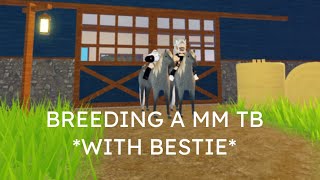 Breeding a mm tb *with my bestie*