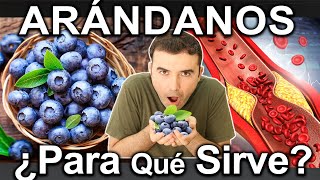 ARANDANOS - SUPERALIMENTO LLENO DE BENEFICIOS - Blueberries