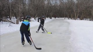 Skating through the forest