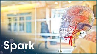 How The Brain Affects Your Sight And Sound | The Brain Fitness Program | Spark