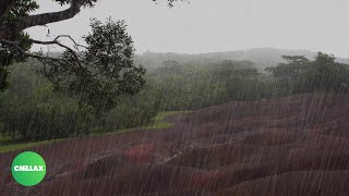 8 HOURS OF LIGHT RAIN AT THE HILLS: Rain Sounds for Sleeping, Reduce Stress, Rain Sounds, Rain