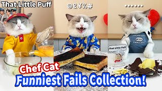 🤣Funniest Fails Collection! | That Little Puff