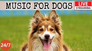 [LIVE] Dog Music🎵 Separation Anxiety Music for Dog Relaxation🐶💖Calming Music for Deep Sleep