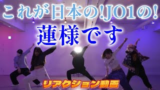 【JO1リアクション動画】これが！！日本人アーティストの蓮様です！！蓮君が全て証明してくれてます！！