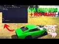 FiveM Lua Executor 😳 Mod Menu Internal + Dumper + SHBypass + Anti Cheat blocker by EulenCheats #1