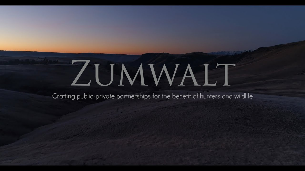 Zumwalt Youtube