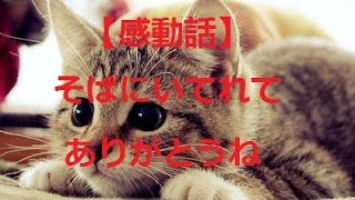 【感動話】そばにいてくれてありがとうね