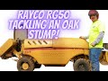 Rayco RG50 Stump Grinder Removing a Oak Stump