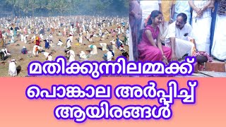 PUDUKAD NEWS മതിക്കുന്നിലമ്മയ്ക്ക് പൊങ്കാല അർപ്പിച്ച് ആയിരങ്ങൾ...