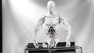 Artificial Muscle-Powered Humanoid Robots | 2025