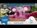الفيل والغابة | بدون ايقاع - بدون موسيقى | قناة سنا SANA TV