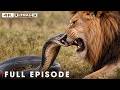 Greatest Fights In The Animal Kingdom | FULL EPISODE | Wildlife Documentary