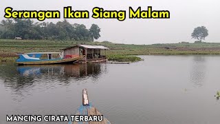 Serangan Ikan Nila Siang Malam Mantap || Mancing Cirata Terbaru || Spot GoGog