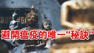 避開瘟疫災難的唯一“秘訣”，其實佛陀早已告訴你了！