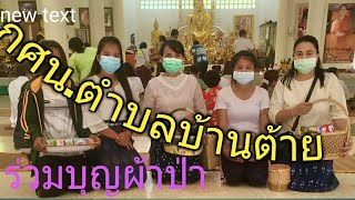 กศน.ตำบลบ้านต้าย  ทำโรงทานสมุนไพรหนวดแมว