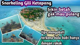 snorkeling di Gili Ketapang #giliketapang#wisata#wisataalam #wisataprobolinggo#wisataindonesia