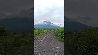 富士山とももかとプリン🗻お散歩