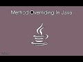 Polymorphism In Java || Method Overriding in Java
