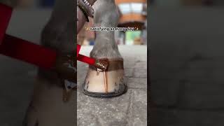 #horse #satisfying #diy #handmade #oddlysatisfying #shortvideo #shorts #youtube #ytshorts #story