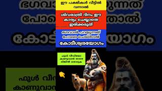 Shivaratri 2025...ഈ പക്ഷികൾ വീടിൻ്റെ അടുത്ത് വന്നാൽ ശിവരാത്രി ദിനം ഈ കാര്യം ചെയ്യാതെ ഇരിക്കരുത്...