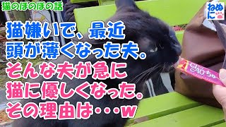 411【猫のほのぼの話】猫嫌いで、最近頭が薄くなった夫。そんな夫が急に猫に優しくなった。その理由は・・・ｗ