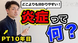 【炎症って何？】腫れたら結局、どうすればいいの？(生理学,理学療法士)