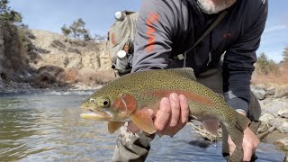 Fly Fishing the Arkansas River - High Altitude Freestone