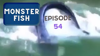 Fishing a MONSTER | Boat FAILS Caught On Camera | Episode 54