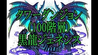 【ドラポ】(2018年版!!タワーダンジョン100階層) 黒龍ジェネシス　ドラゴンポーカー