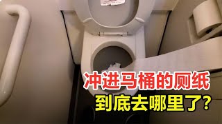 冲进马桶的卫生纸，会循环回来吗？为何废弃厕纸不能扔马桶里？【全能指南乔叔】