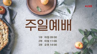 2024. 10. 27. 빛의교회 주일예배 LIVE 3부