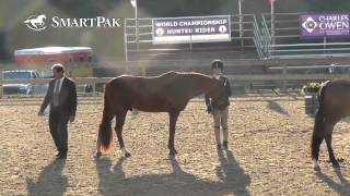 Friday Outdoor Class 122 Large Pony Hunter Conformation Judging