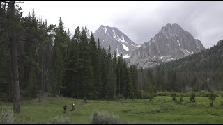 Trail Hunter - Sun Valley