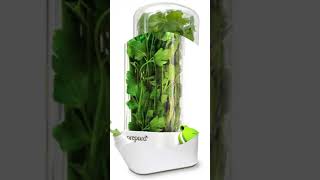 Prepara Eco Herb Savor Pod, Green 6 2 x 2 9 x 10 7 inches