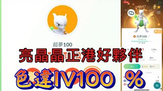 超完美的超夢-亮晶晶色違IV100 ％正港好夥伴Pokémon Go 2023/05/16