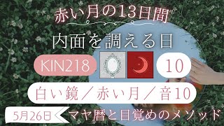 【黒KINの日】【マヤ暦 KIN218】今日の銀河のエネルギーについて｜キーワードと過ごし方（2024年5月26日）