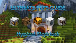 Ultimate Pets Guide | Hypixel Skyblock