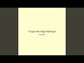 Fragile Moonlight Midnight