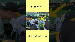 木浪は予想外やったわw #阪神タイガース