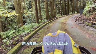 電動自転車の旅　河内長野観心寺・延命寺　Vlog#1