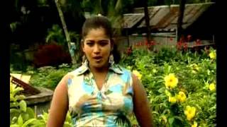 সরল মানুষ পাইয়া আমায় সুই গুতাই