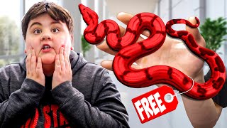 Surprising A Random Kid With His Dream Snake