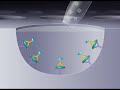 elisa enzyme linked immunosorbant assay