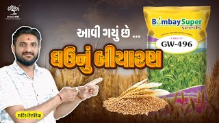 વધુ ઉત્પાદન માટે આવી ગયું છે ખેડૂત-પે માં ઘઉં નું બિયારણ | ઘઉં ની ખેતી | KHEDUTPAY