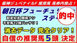 朝日杯フューチュリティステークス2019予想【自信の推奨馬５頭 決定】過去１０年の消去データ 完全クリア！前走好走馬も一切切関係なし！ 12頭をバッサリ！