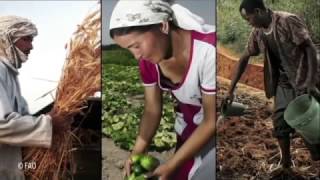 FAO Policy Series: Sustainable Food and Agriculture FAO、持続可能な食料と農業（日本語）