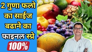 2 गुणा फलो की साईज बढाने का फायनल स्प्रे । fruit size final spray