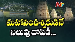 మహానంది ఆలయంలో అవినీతి | మహానందిలో అవినీతి ఒక జీవన విధానం | NTV