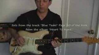 Advanced Concepts For Blues Guitar Soloing by Barry Levenson