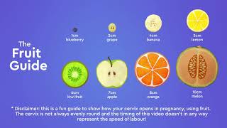 How your cervix dilates during labour...the Fruit Guide!